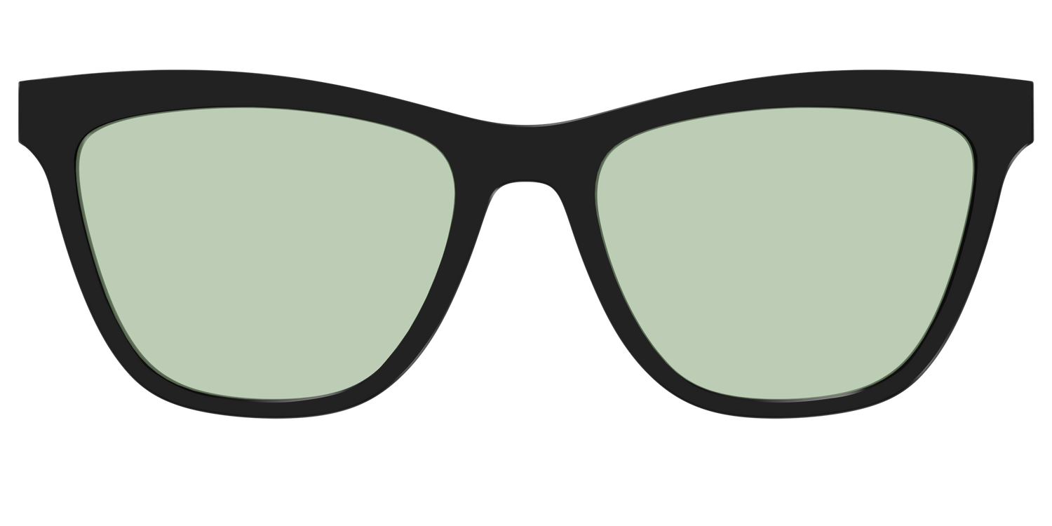 The Black With Sage Green Lens - Front Top Image - Pair Eyewear