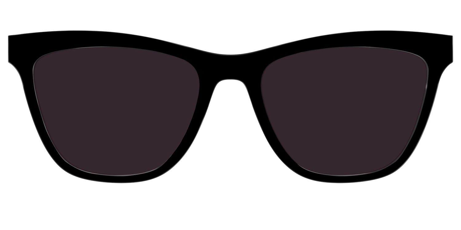 The Black with Urban Explorer Lens - Front Top Image - Pair Eyewear