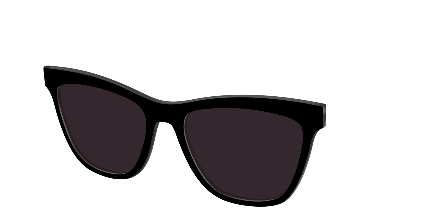 The Black with Urban Explorer Lens - Angle Top Image - Pair Eyewear