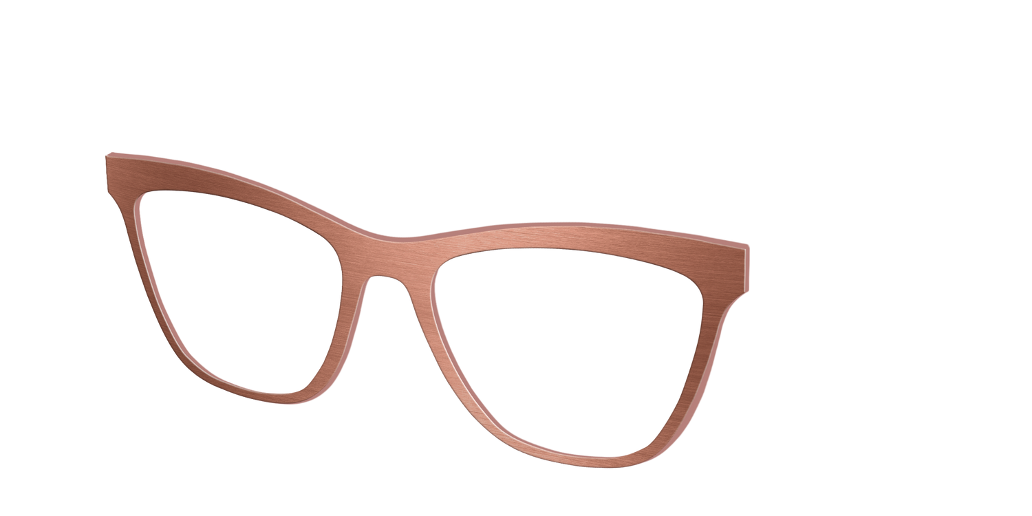 The Brushed Champagne - Angle Top Image - Pair Eyewear