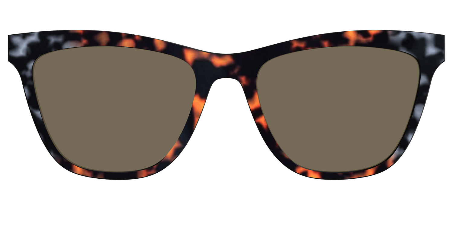 The Polarized Gray & Amber Tortoise Sun Top - Front Top Image - Pair Eyewear