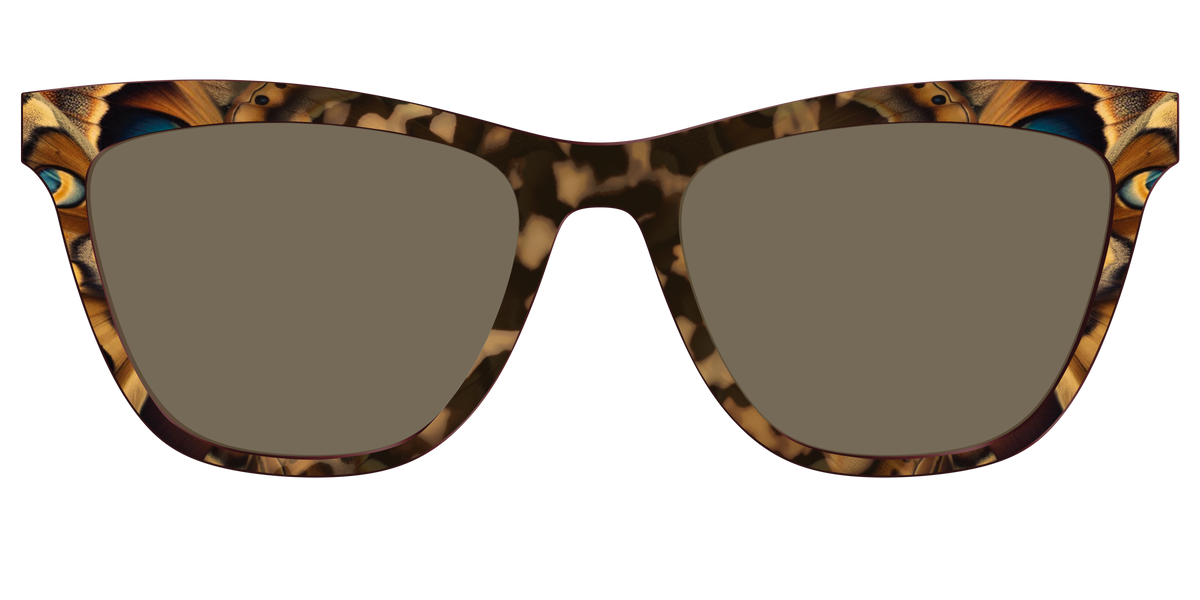 The Polarized Moth Wings Sun Top - Front Top Image - Pair Eyewear
