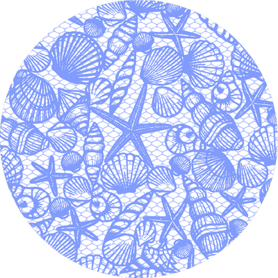 The Seashell Confetti