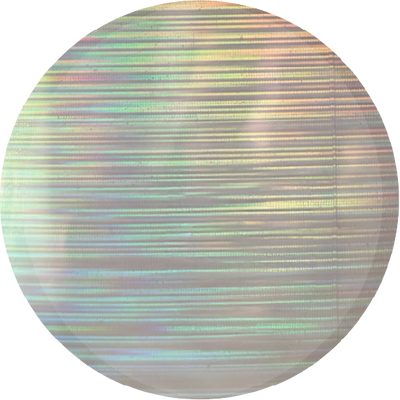 The Seashell Confetti