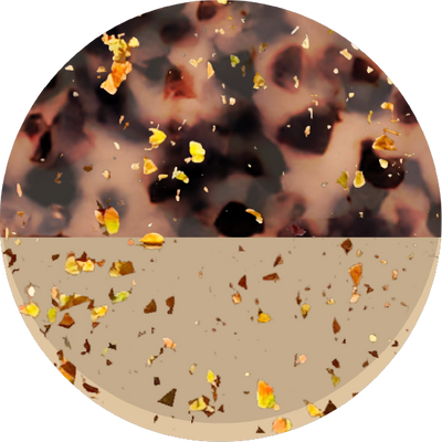 The Seashell Confetti