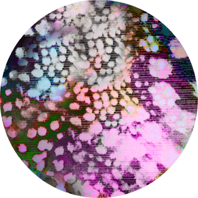 The Seashell Confetti
