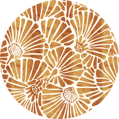 The Seashell Confetti