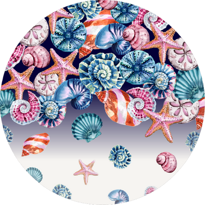 The Seashell Confetti