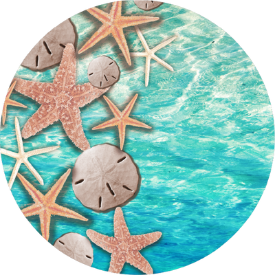 The Seashell Confetti