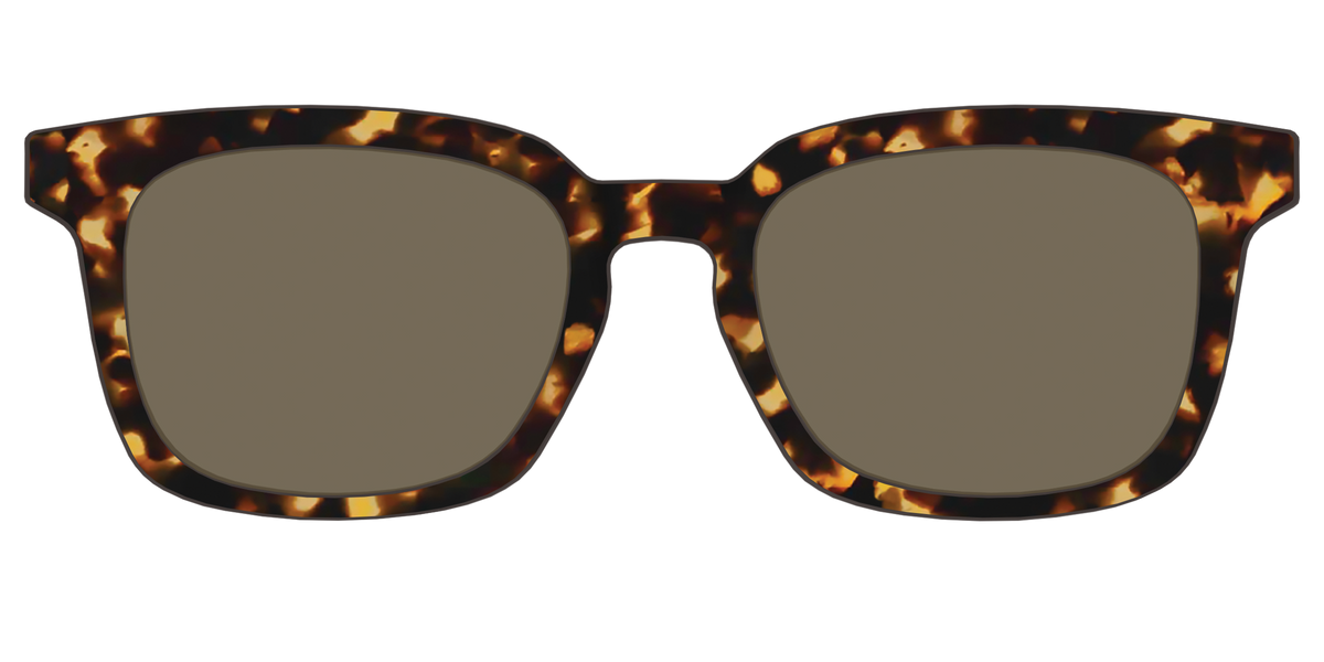 The Polarized Tortoise Sun Top - Front Top Image - Pair Eyewear