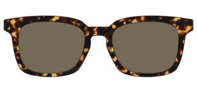The Polarized Tortoise Sun Top - Front Top Thumbnail - Pair Eyewear