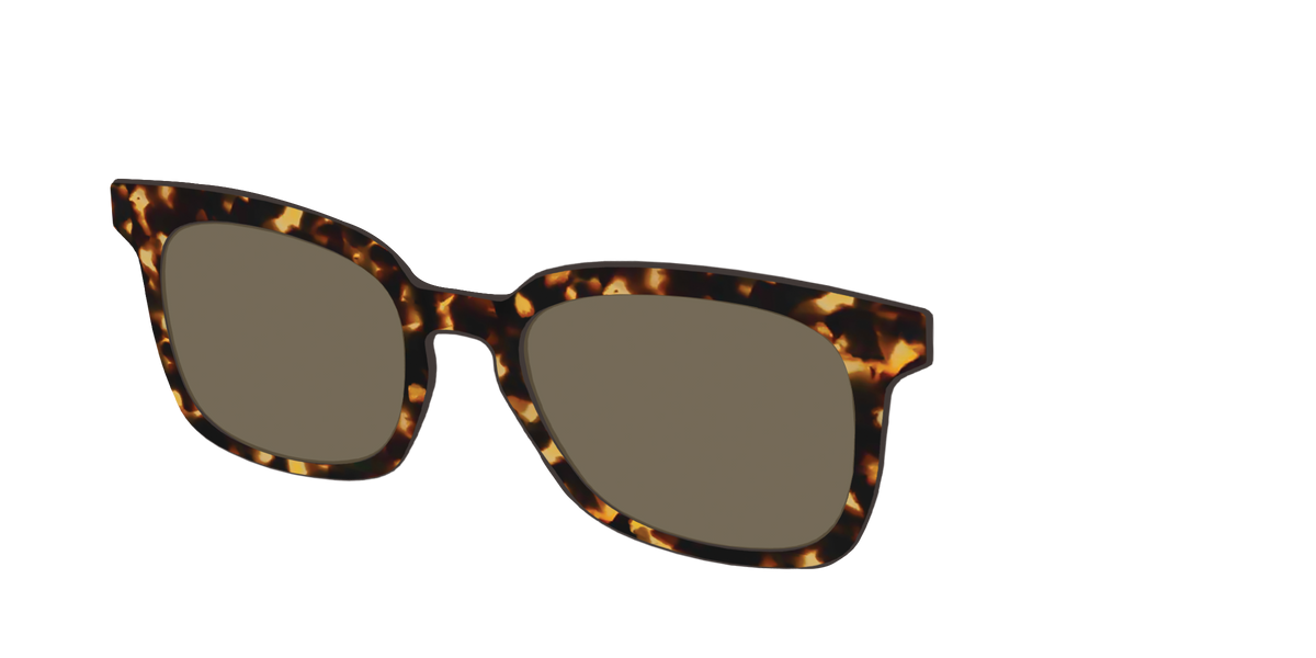 The Polarized Tortoise Sun Top - Angle Top Image - Pair Eyewear