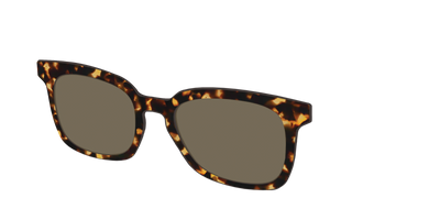 The Polarized Tortoise Sun Top - Angle Top Thumbnail - Pair Eyewear
