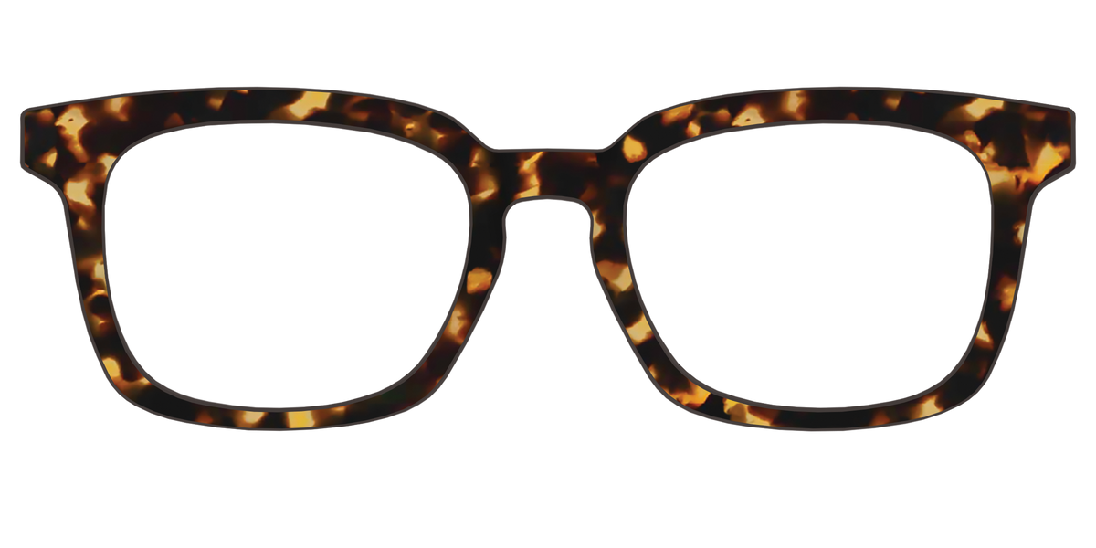 The Tortoise - Front Top Image - Pair Eyewear