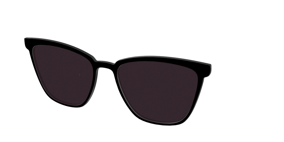 The Black with Urban Explorer lens - Angle Top Image - Pair Eyewear