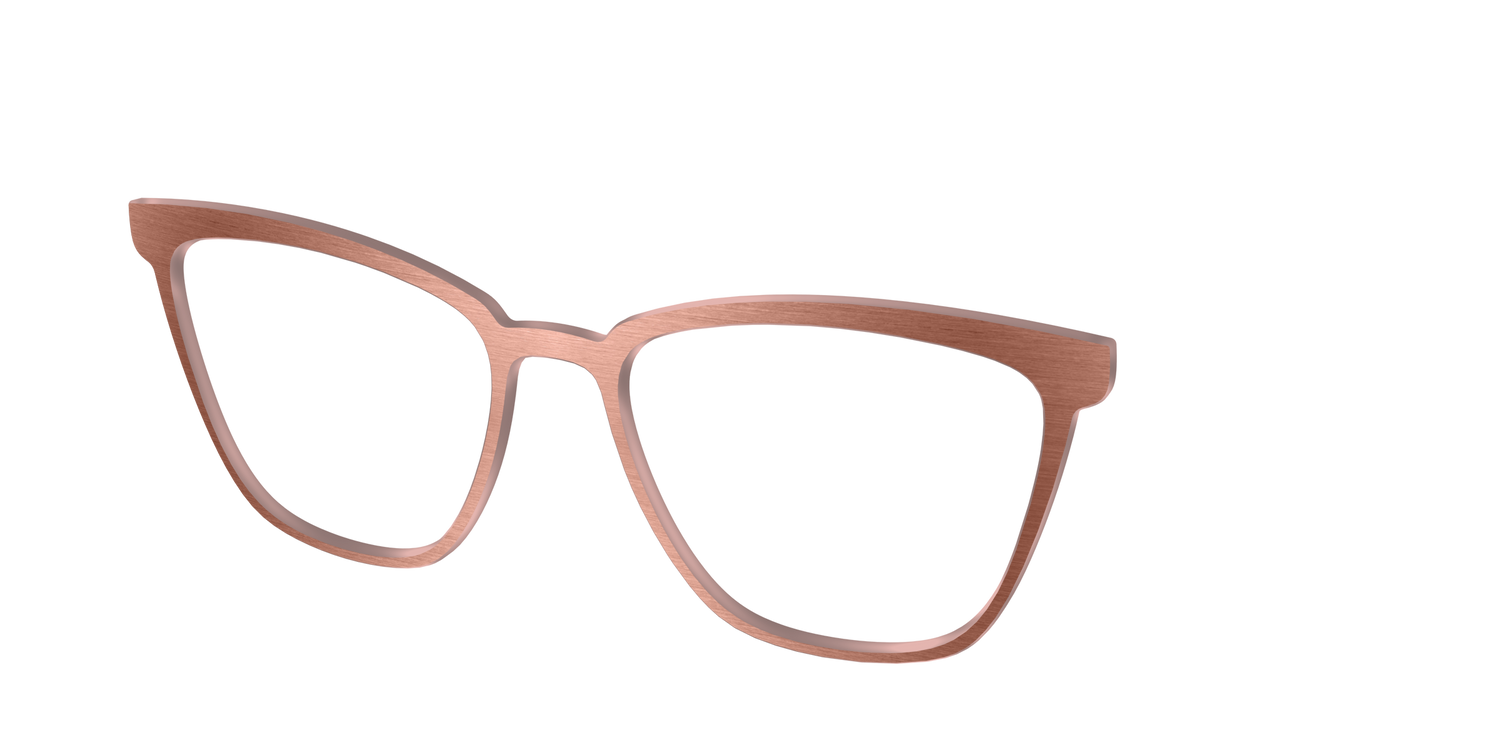 The Brushed Champagne - Angle Top Image - Pair Eyewear