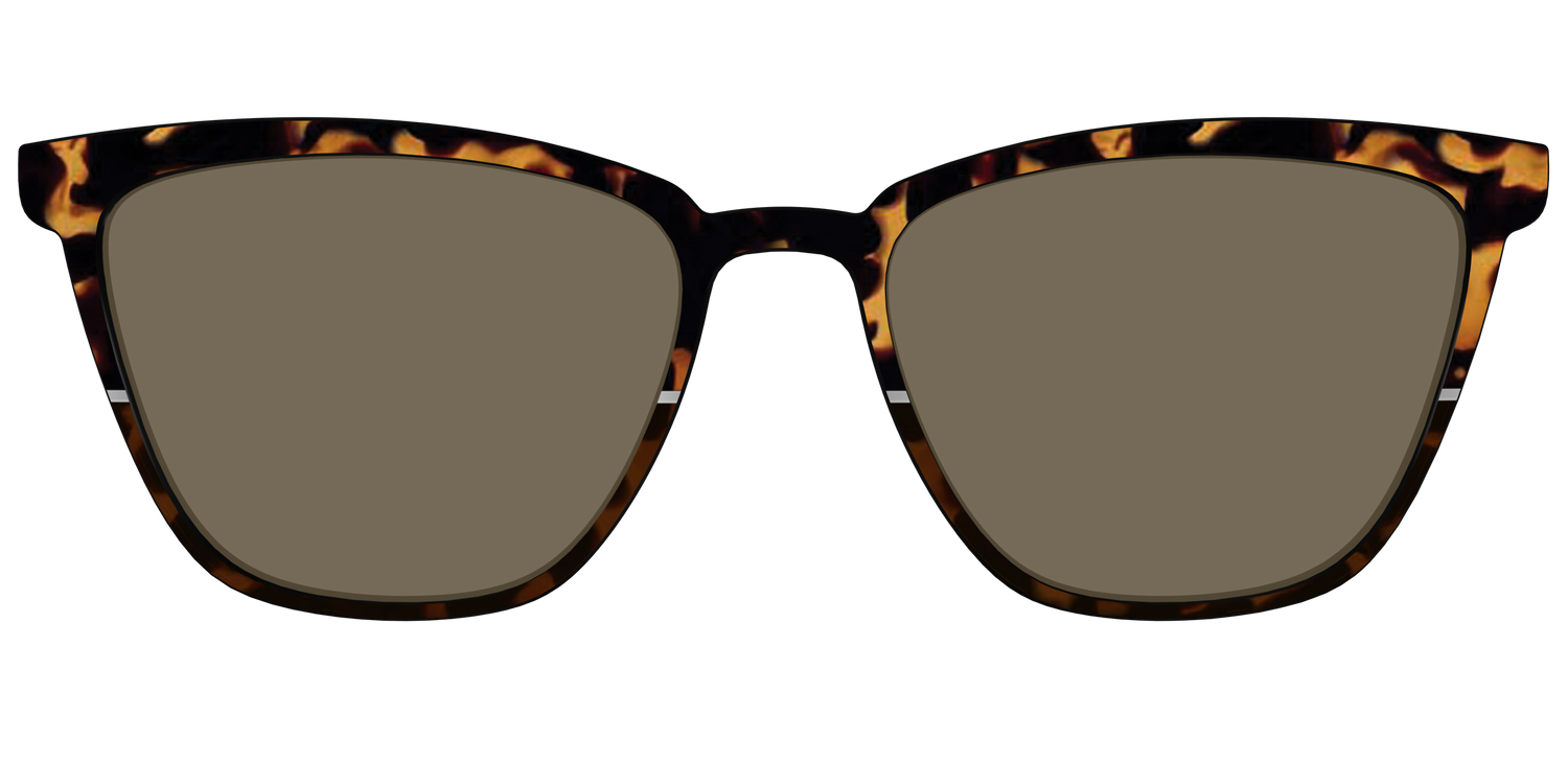 The Polarized Chic Tortoise Split Sun Top - Front Top Image - Pair Eyewear