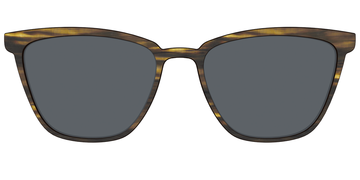 The Polarized Horn Sun Top - Front Top Image - Pair Eyewear