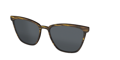The Polarized Horn Sun Top - Angle Top Thumbnail - Pair Eyewear