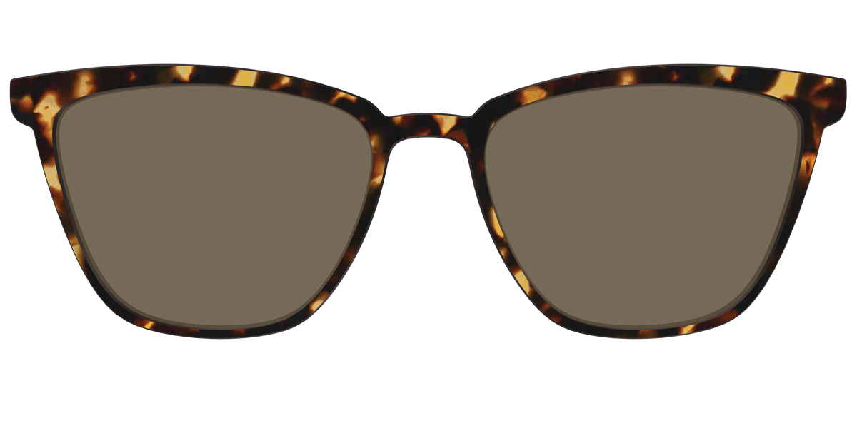 The Non-Polarized Tortoise Sun Top - Front Top Image - Pair Eyewear