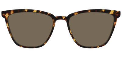 The Non-Polarized Tortoise Sun Top - Front Top Thumbnail - Pair Eyewear