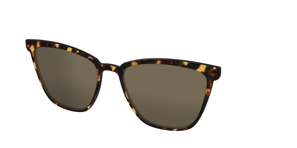The Non-Polarized Tortoise Sun Top - Angle Top Image - Pair Eyewear