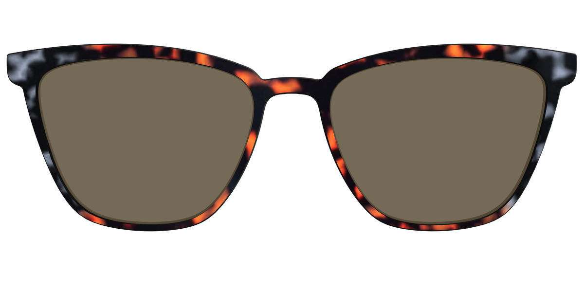 The Polarized Gray & Amber Tortoise Sun Top - Front Top Image - Pair Eyewear
