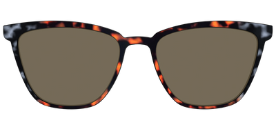 The Polarized Gray & Amber Tortoise Sun Top - Front Top Thumbnail - Pair Eyewear