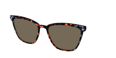 The Polarized Gray & Amber Tortoise Sun Top - Angle Top Thumbnail - Pair Eyewear