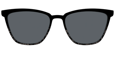 The Polarized Shaded Tortoise Sun Top - Front Top Thumbnail - Pair Eyewear