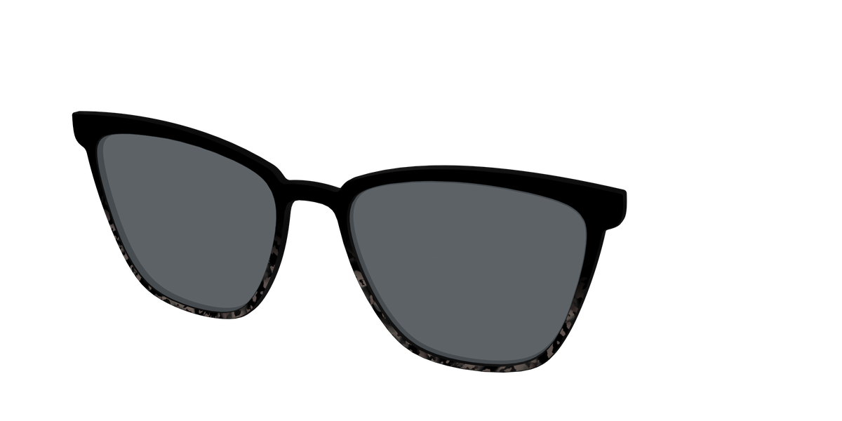 The Polarized Shaded Tortoise Sun Top - Angle Top Image - Pair Eyewear