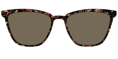 The Polarized Sienna Tortoise Sun Top - Front Top Thumbnail - Pair Eyewear