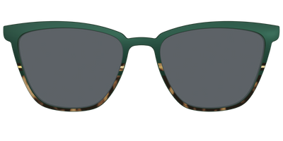 The Polarized Spruce Tortoise Sun Top - Front Top Thumbnail - Pair Eyewear