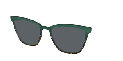 The Polarized Spruce Tortoise Sun Top - Angle Top Thumbnail - Pair Eyewear