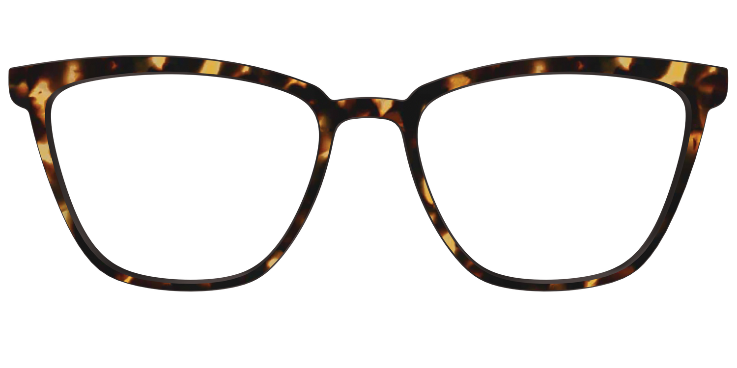 The Tortoise - Front Top Image - Pair Eyewear