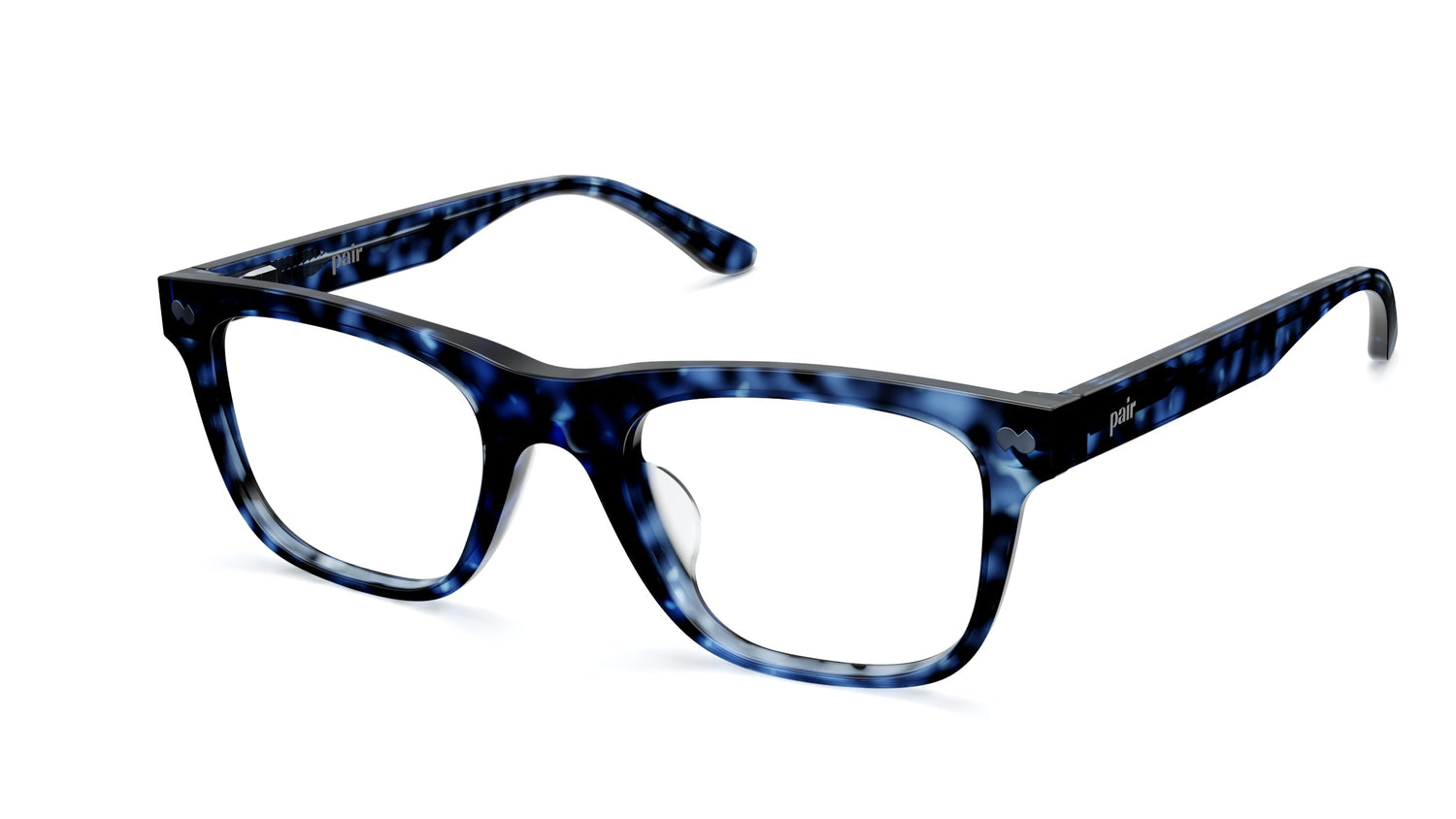 blue tortoise