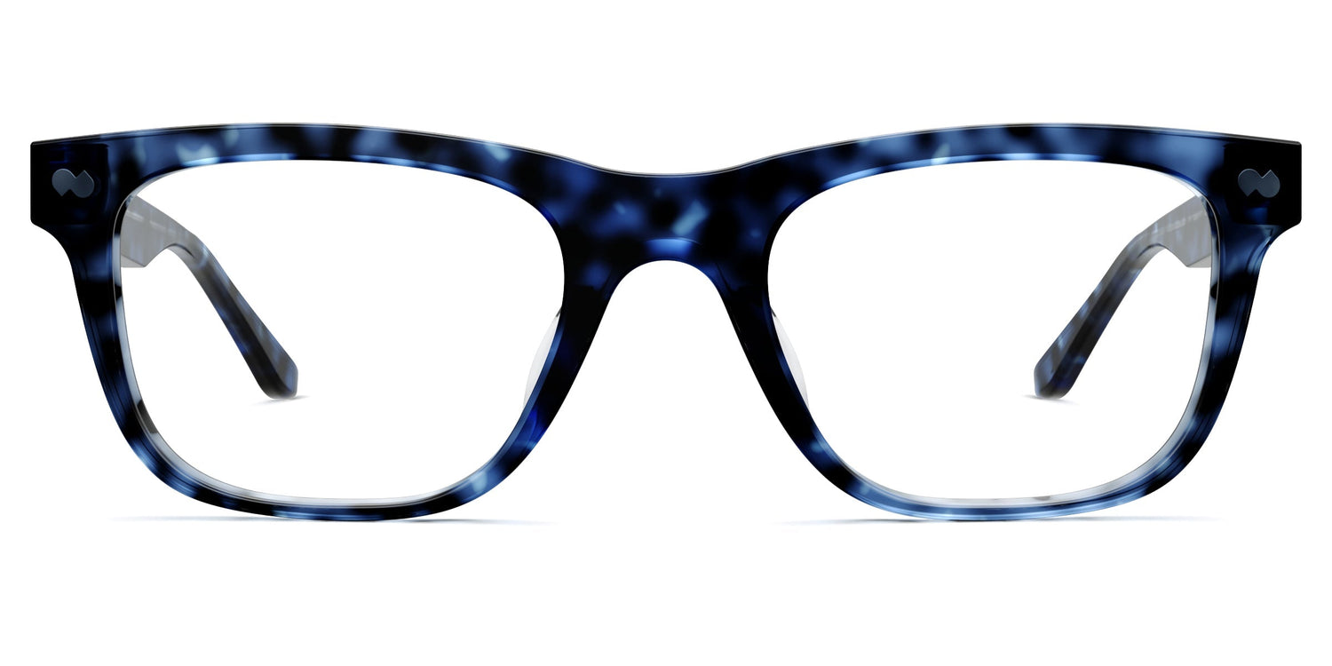 blue tortoise