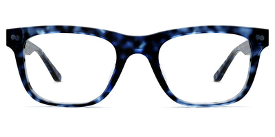 blue tortoise