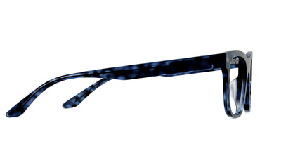 blue tortoise