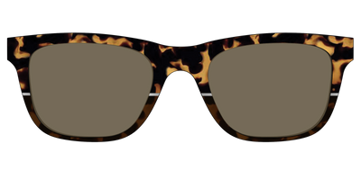 The Polarized Chic Tortoise Split Sun Top - Front Top Thumbnail - Pair Eyewear