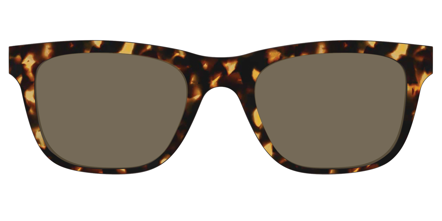 The Non-Polarized Tortoise Sun Top - Front Top Image - Pair Eyewear
