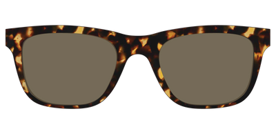 The Non-Polarized Tortoise Sun Top - Front Top Thumbnail - Pair Eyewear