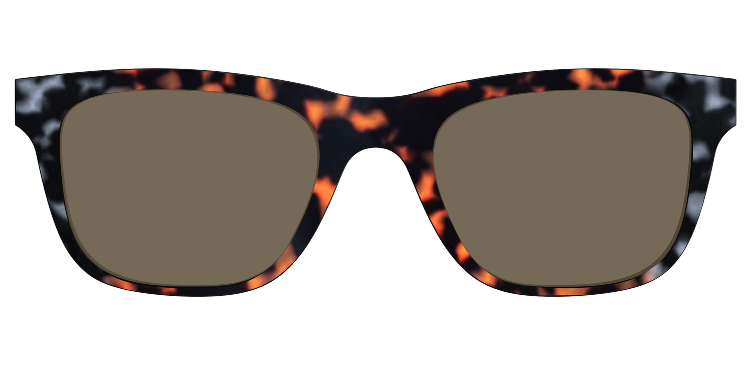 The Polarized Gray & Amber Tortoise Sun Top - Front Top Image - Pair Eyewear