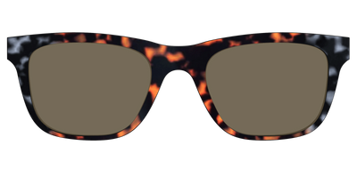 The Polarized Gray & Amber Tortoise Sun Top - Front Top Thumbnail - Pair Eyewear