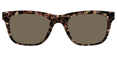 The Polarized Sienna Tortoise Sun Top - Front Top Thumbnail - Pair Eyewear
