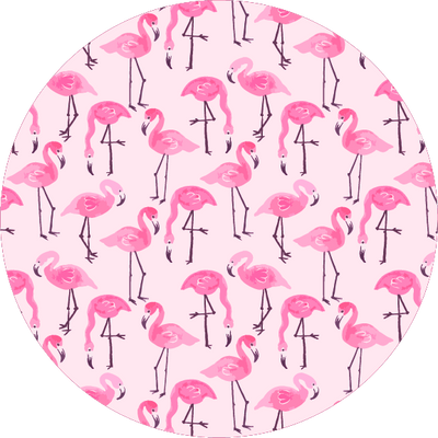 The Pretty Pink Flamingos