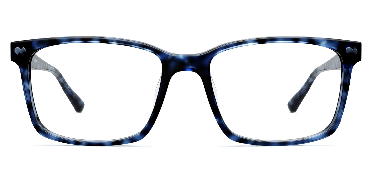 blue tortoise