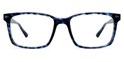 blue tortoise
