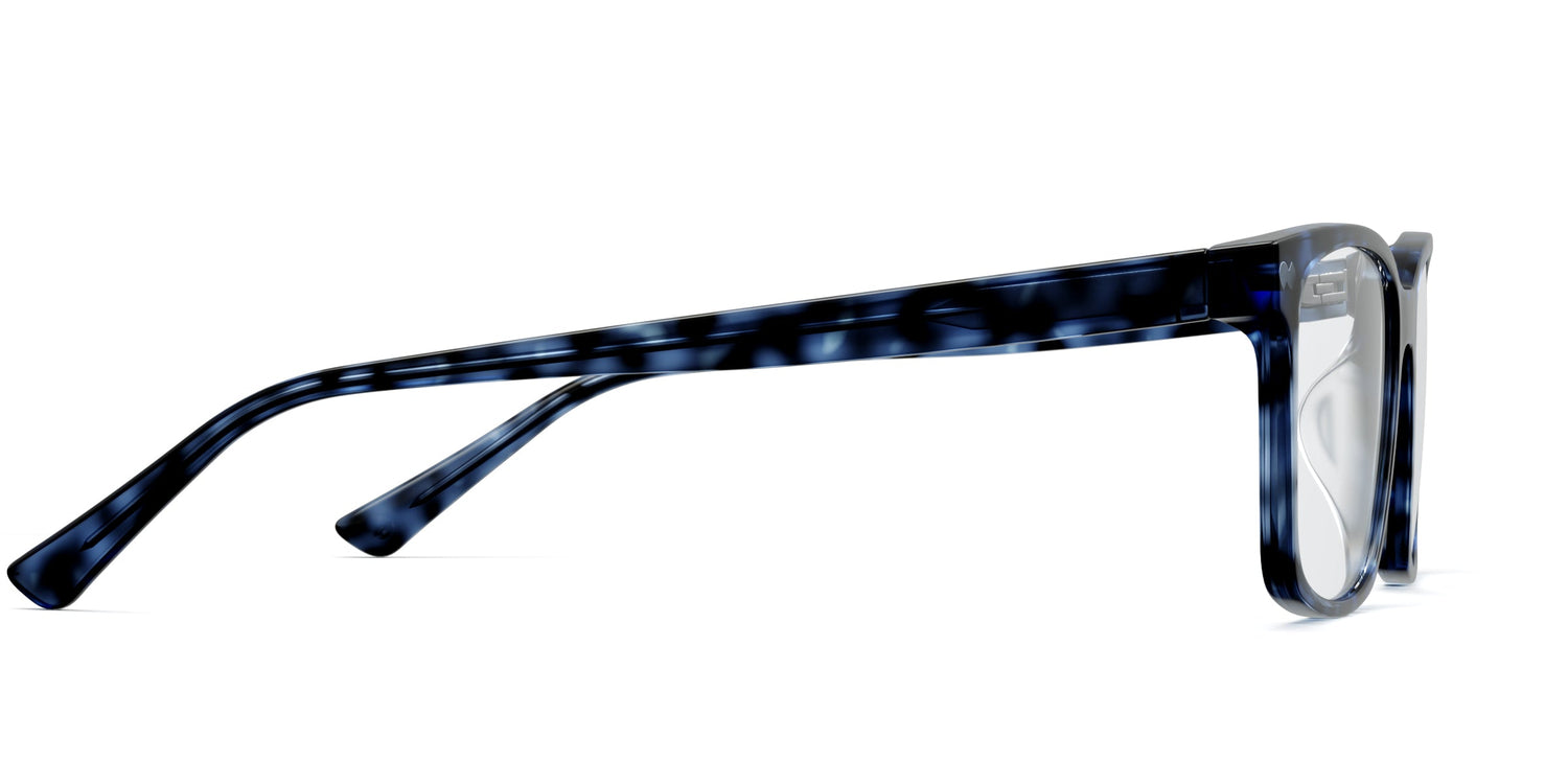 blue tortoise