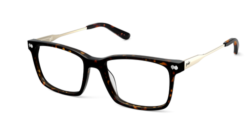 Mixed Material Tortoise Gold Metal